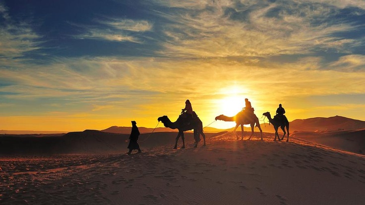Royal Jaisalmer Wedding